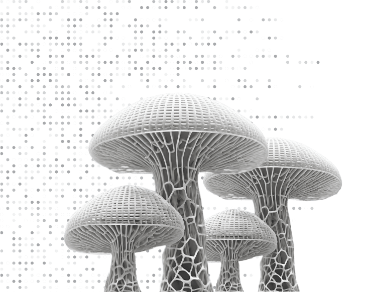 Discover Mycelium